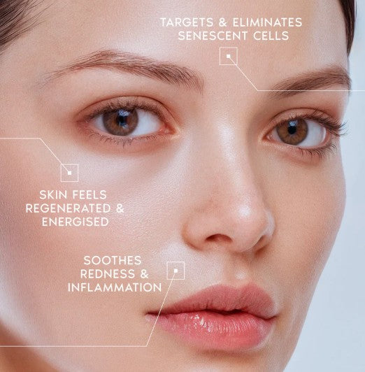 Korean PDRN Firming Cream - Rebuild Elasticity at Any Age