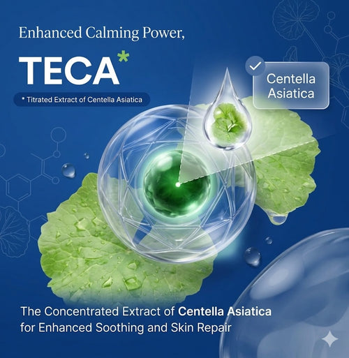 The Madeca Protocol